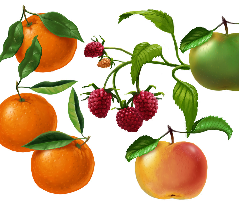 Gestus果汁瓶裝包裝設計之插畫