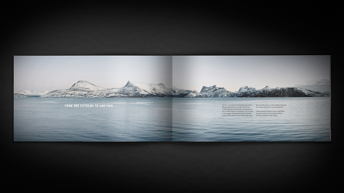 美國聯合漁業公司海鮮海魚畫冊設計2