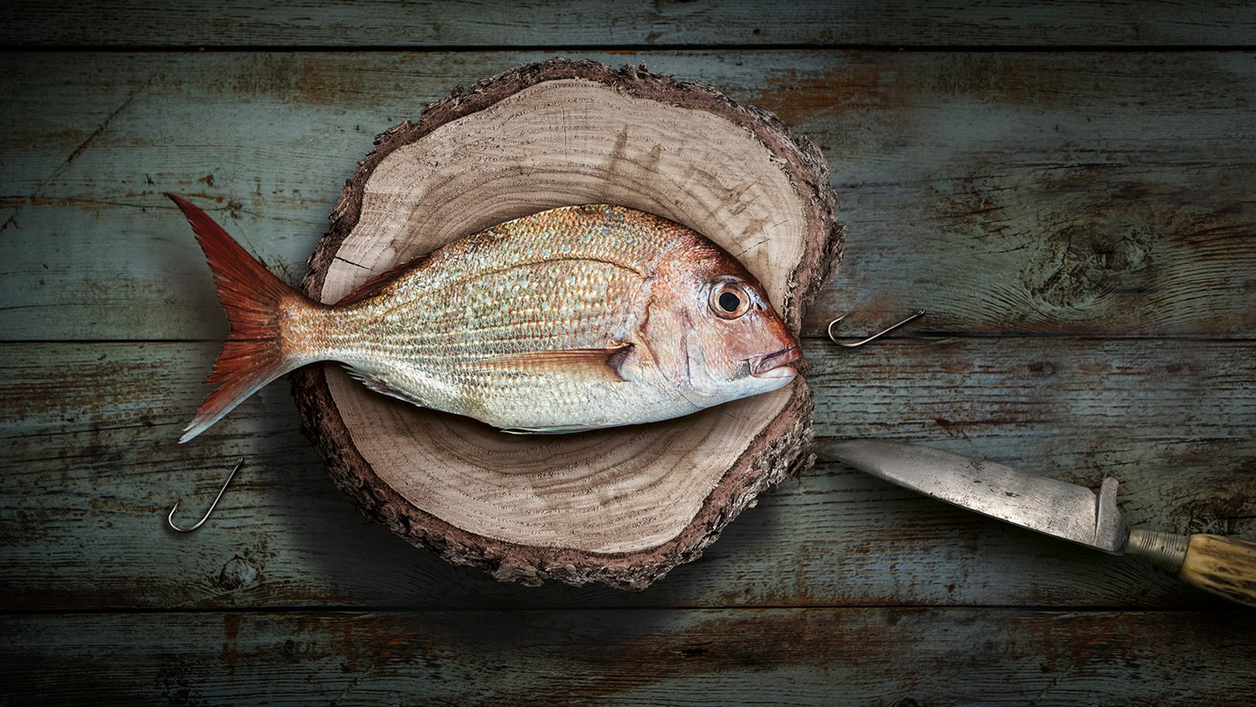 美國聯合漁業公司海鮮海魚畫冊設計5