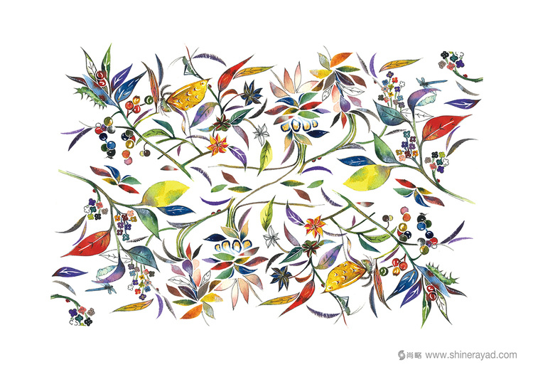 香野調(diào)臺(tái)灣閩南調(diào)味品包裝設(shè)計(jì)-包裝插圖設(shè)計(jì)