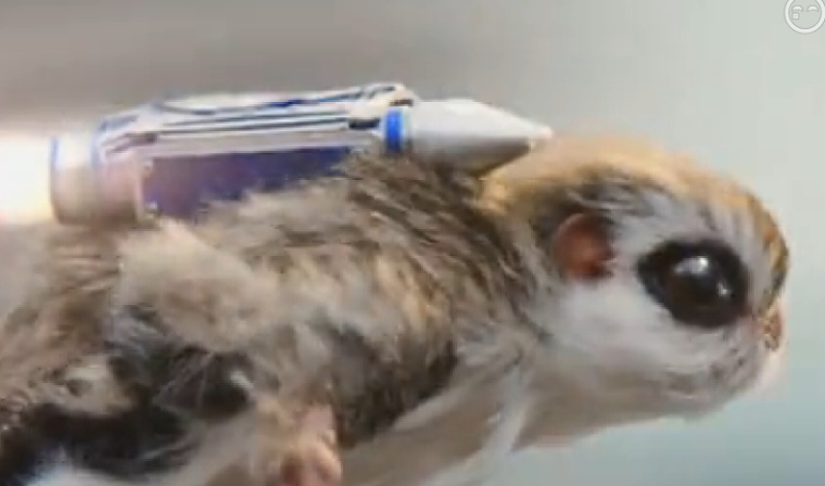 上海策劃公司分享McVities休閑食品飛鼠篇影視廣告欣賞2