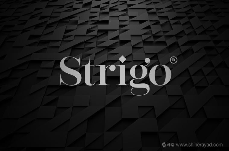 Strigo服飾品牌形象全案設計-標志設計1
