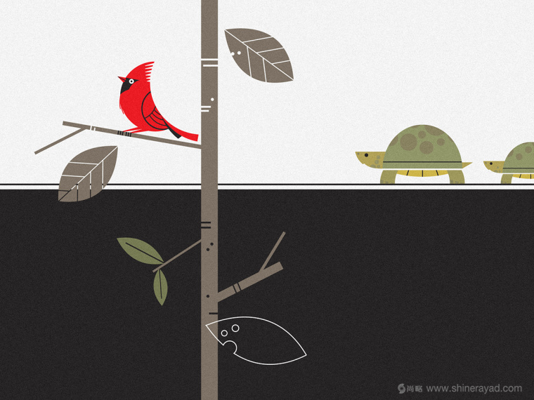 Nicho de Bichos寵物用品商店插畫風VI設計品牌形象設計-商店內部裝飾插畫設計9