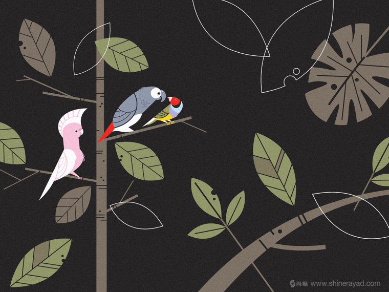 Nicho de Bichos寵物用品商店插畫風VI設計品牌形象設計-內部裝飾插畫設計11