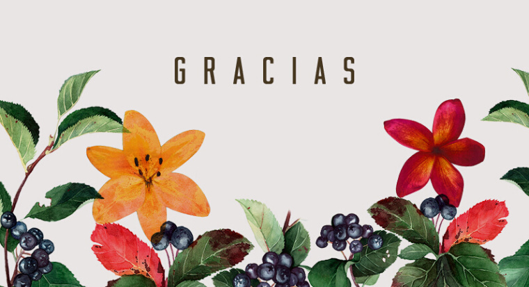 Quara 含酒精果味飲料品牌形象設計7