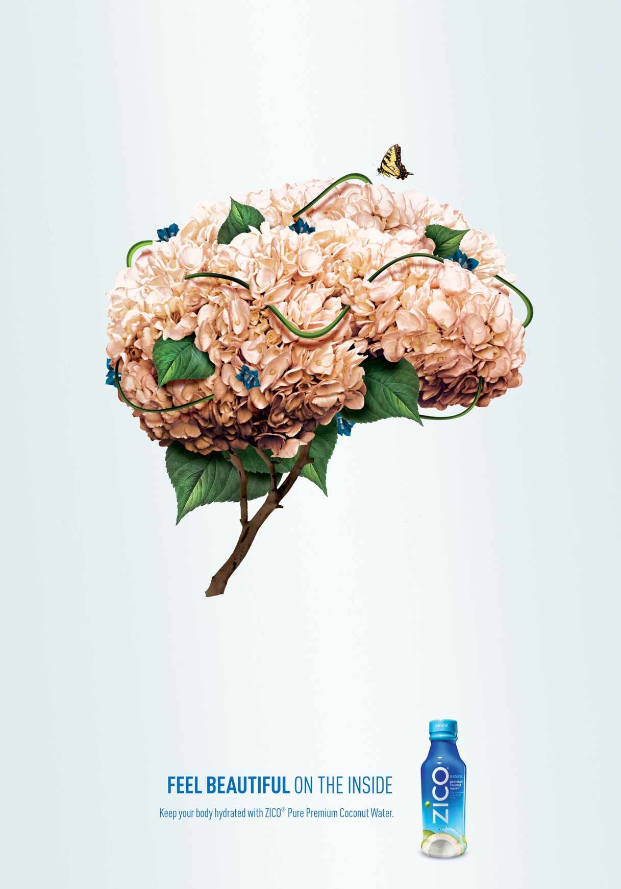 Zico 椰子水飲料創意平面廣告設計感受內在之美篇-大腦篇-上海廣告設計公司-上海平面設計公司3