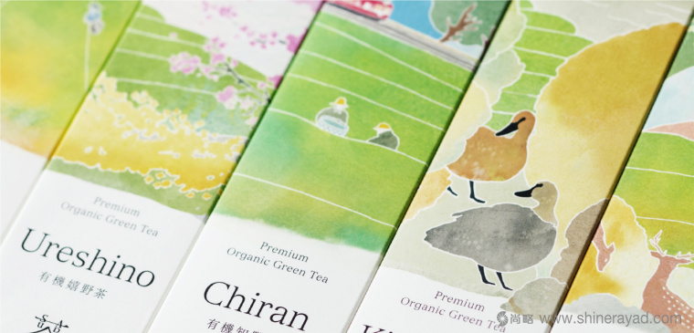 日本Saudade Tea 淡雅水彩插畫有機(jī)茶葉品牌包裝設(shè)計(jì)6