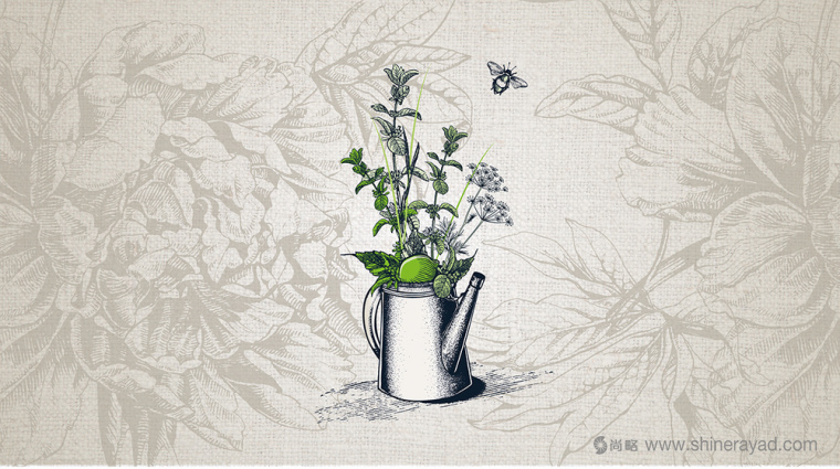 上海包裝設(shè)計(jì)公司分享Garribeil薄荷檸檬酒包裝設(shè)計(jì)5