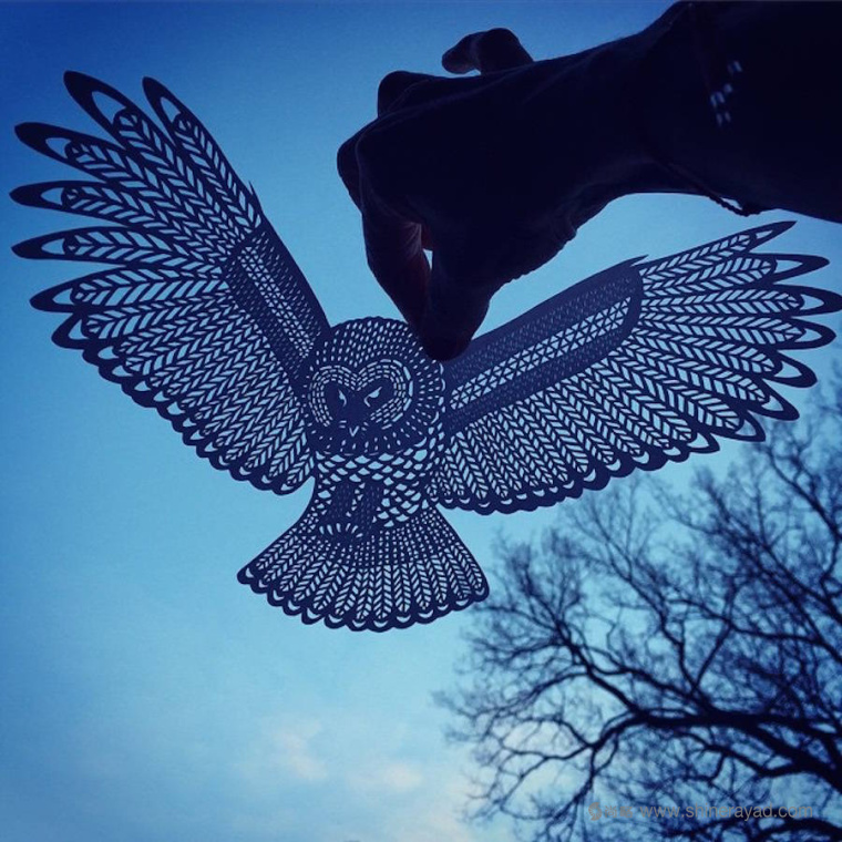 老鷹-動物剪紙藝術(shù)與剪紙攝影圖片-上海平面創(chuàng)意設(shè)計(jì)公司藝術(shù)鑒賞1