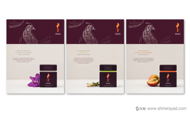 I印尼 kaati 有機茶花茶鳥類包裝設計--上海包裝設計公司3