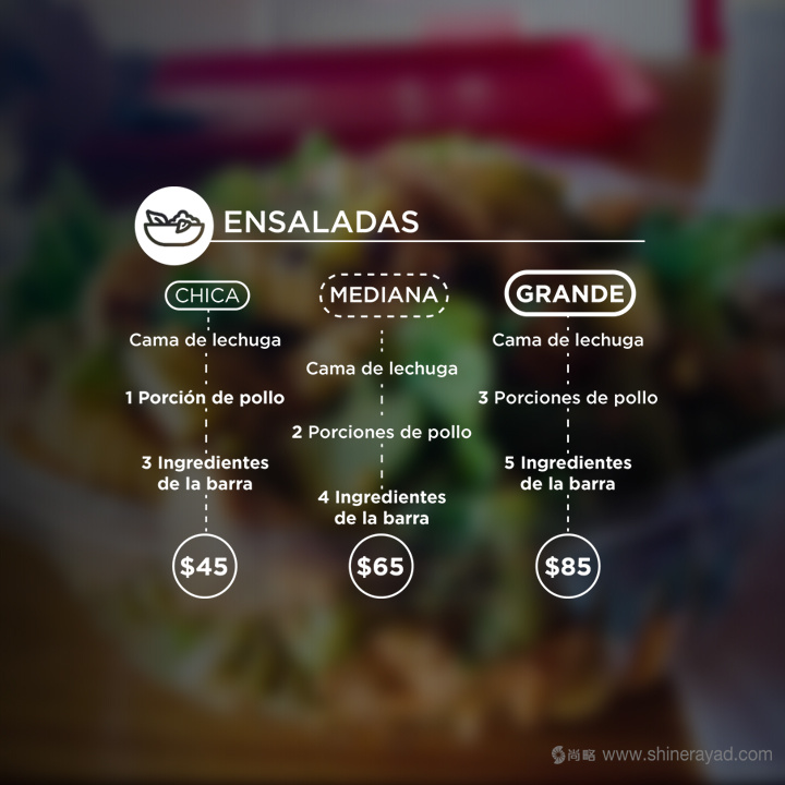 Quick Salads 沙拉有機(jī)素食餐廳VI設(shè)計(jì)8-餐廳菜單價(jià)目表設(shè)計(jì)