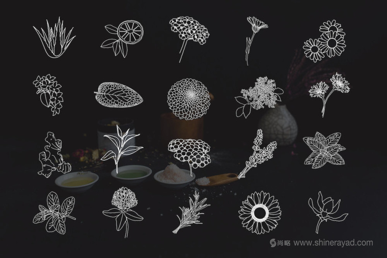 自然水彩插畫風格 Hippie 美容護膚品包裝設計-ICON圖標設計1