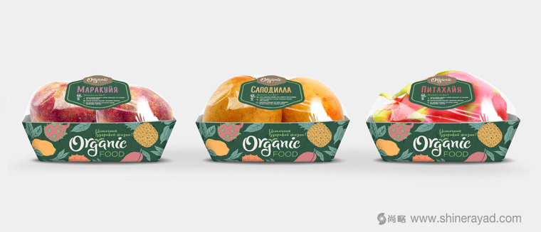 二維插畫風格 Organic Food 有機食品蔬菜水果包裝設計-上海農產品包裝設計公司4