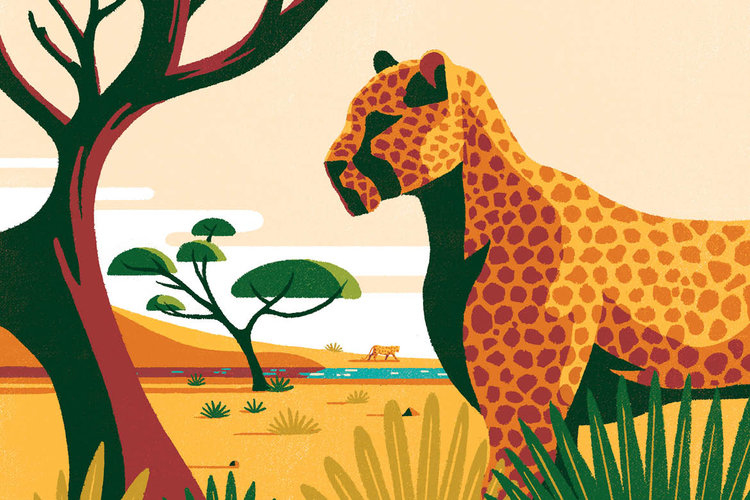 Archer Farms 盒裝咖啡包裝設(shè)計(jì)矢量插畫設(shè)計(jì)-上海包裝設(shè)計(jì)公司18