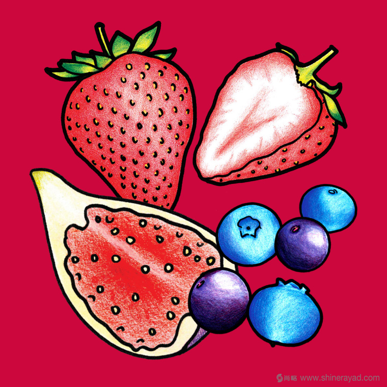 Figgin’ Fruit 無花果餅干包裝設計船長人物水果插畫設計篇-上海食品包裝設計公司7