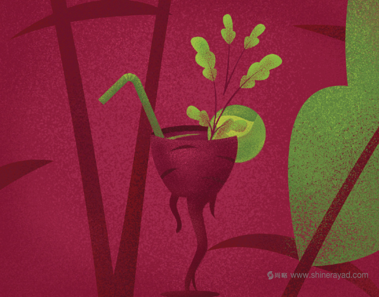 Borshch 咖啡館lVI形象設計蔬菜植物插畫設計-上海VI設計公司-上海餐飲品牌設計公司