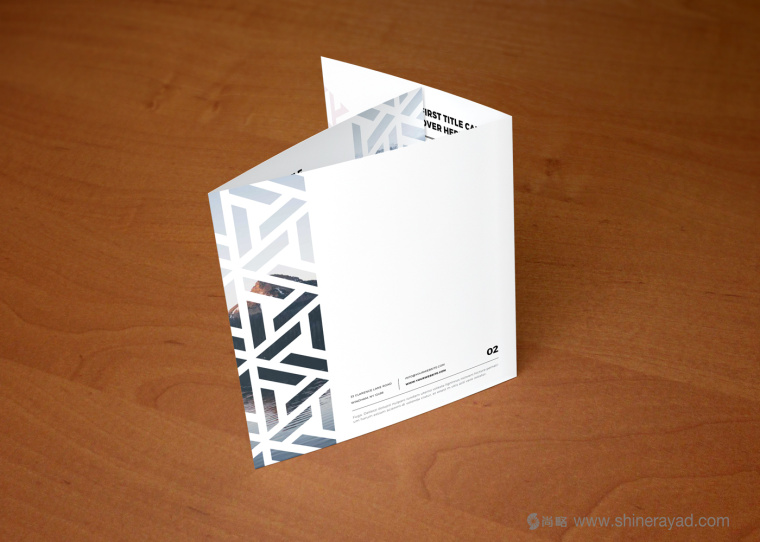 BROCHURE 運動鞋休閑鞋類宣傳畫冊設計-上海畫冊設計公司