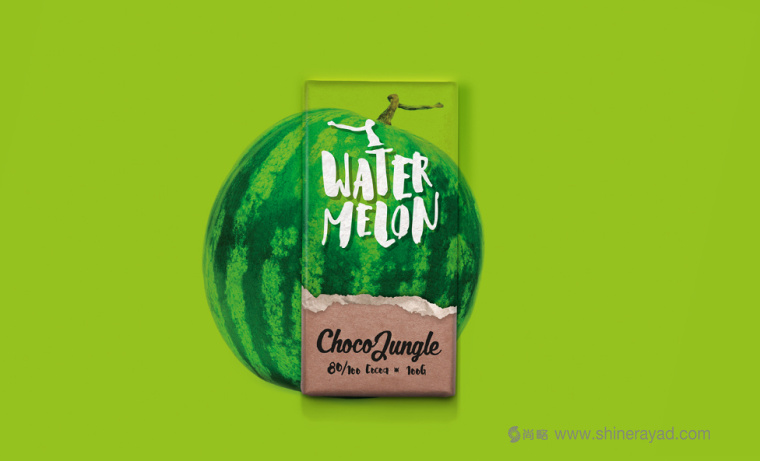 水果特寫插畫風格 Choco Jungle 巧克力包裝設計-上海包裝設計公司