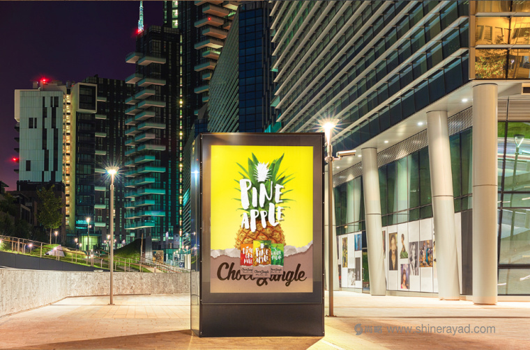 水果特寫插畫風格 Choco Jungle 巧克力包裝設計-上海包裝設計公司