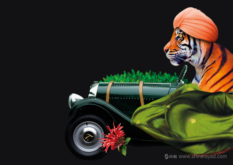 上海包裝設計公司欣賞：SPECIAL.T 雀巢優質茶葉膠囊品牌系列包裝設計插畫設計