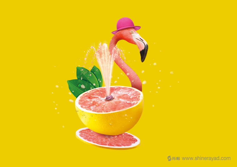 上海包裝設計公司欣賞：SPECIAL.T 雀巢優質茶葉膠囊品牌系列包裝設計插畫設計