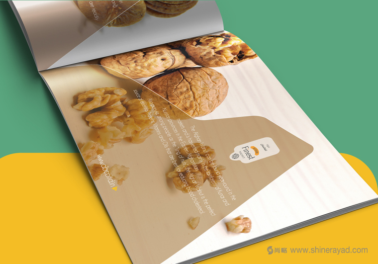 上海畫冊設計公司設計欣賞-高大上水果干果農產品品牌宣傳畫冊設計5