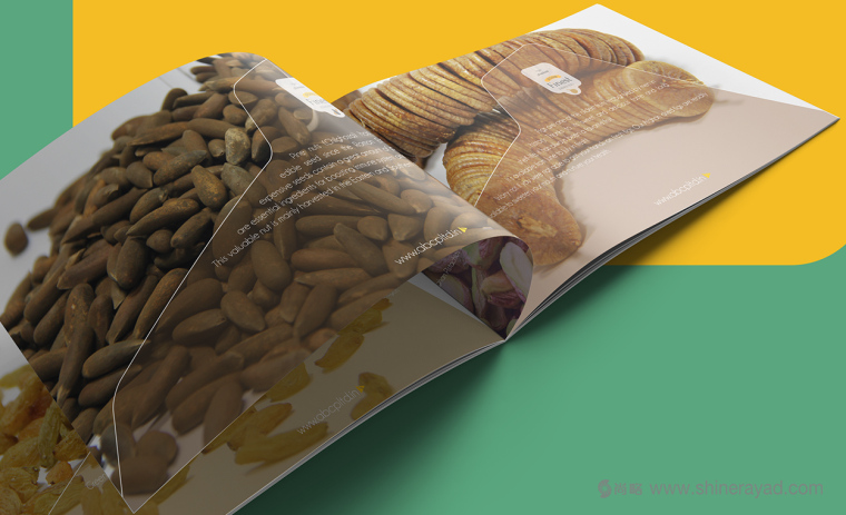 上海畫冊設計公司設計欣賞-高大上水果干果農產品品牌宣傳畫冊設計6