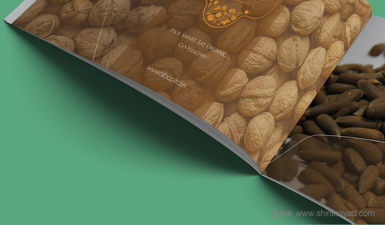上海畫冊設計公司設計欣賞-高大上水果干果農產品品牌宣傳畫冊設計7