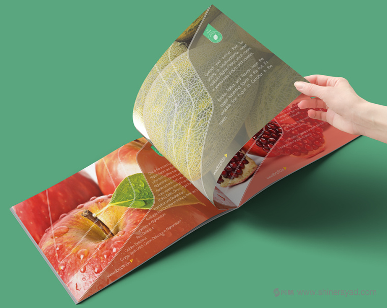上海畫冊設計公司設計欣賞-高大上水果干果農產品品牌宣傳畫冊設計4