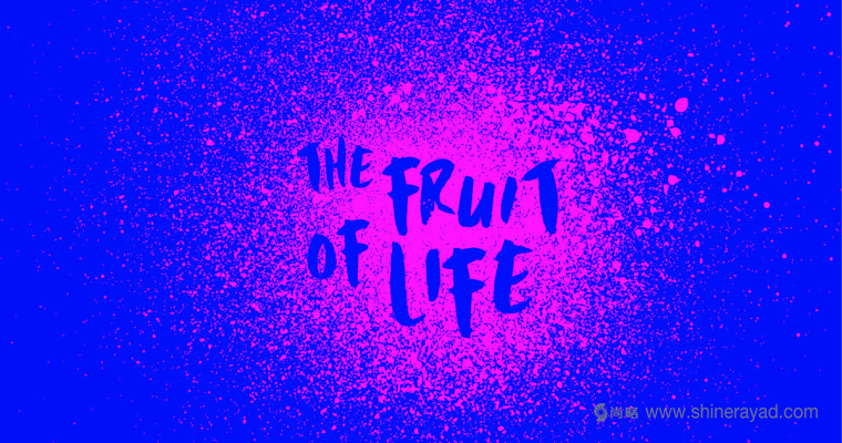 大面積水果插畫加留白版式的Splendid 果汁飲料包裝設計作品欣賞