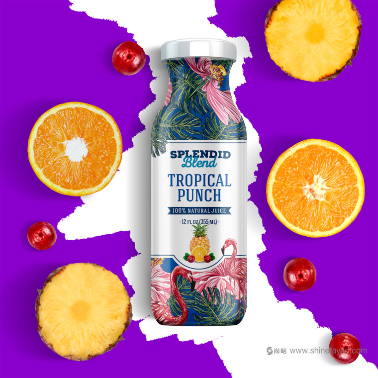 大面積水果插畫加留白版式的Splendid 果汁飲料包裝設計作品欣賞