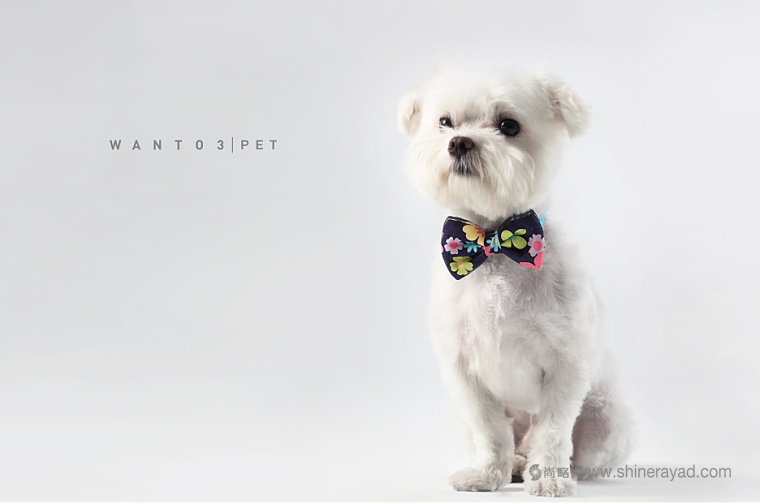 上海包裝設計公司設計欣賞：Wanto3 香薰香氛寵物用品系列包裝設計