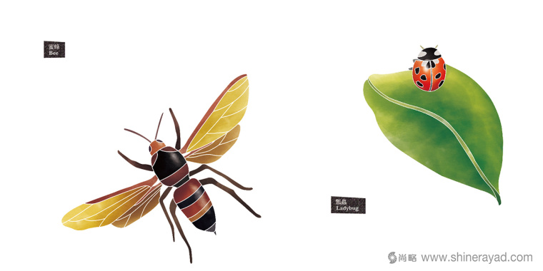 Rosehill 面膜包裝插畫設計-淡涼蘭花 蜜蜂-上海化妝品包裝設計公司7