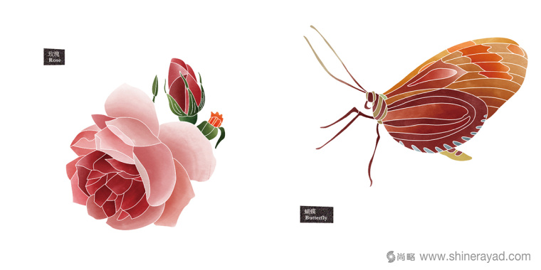 Rosehill 面膜包裝插畫設計-涼爽玫瑰蝴蝶插畫-上海化妝品包裝設計公司8