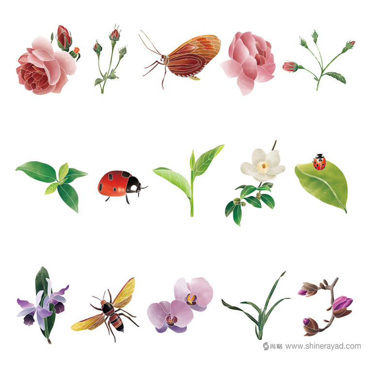 Rosehill 面膜包裝插畫設計清新茶花 - 瓢蟲-上海化妝品包裝設計公司9