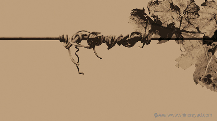 非常高檔藝術的暗金色Covi?as葡萄酒酒莊宣傳畫冊設計-上海宣傳畫冊設計公司1