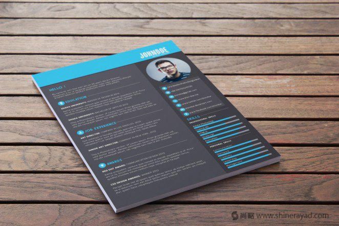 50個精美簡歷設計靈感模版-上海尚略品牌策劃設計公司
