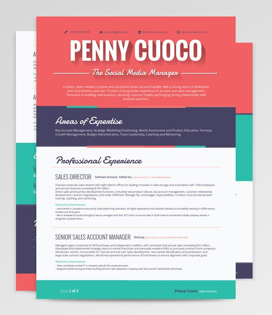 50個精美簡歷設計靈感模版-上海尚略品牌策劃設計公司