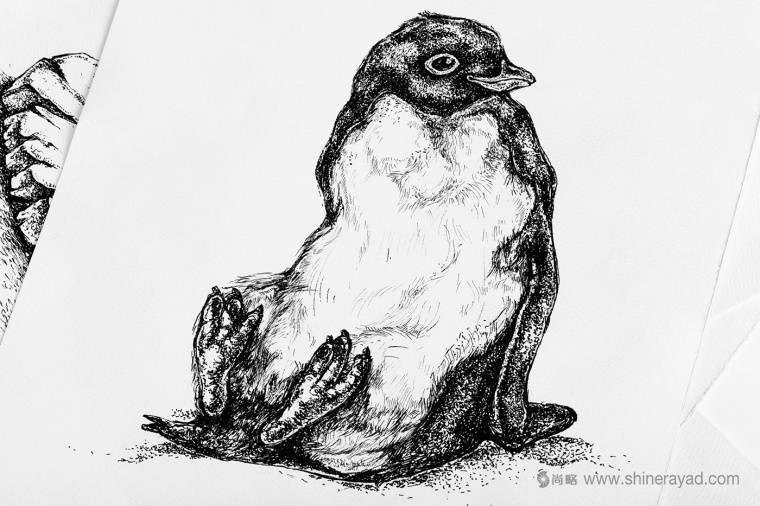 Adelie & the Stone 購物中心節日品牌形象設計與插畫禮品包裝設計