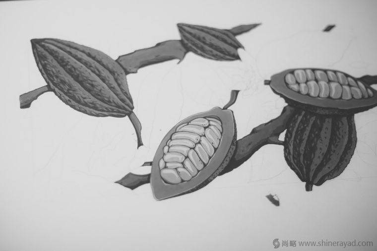 國外手繪植物花卉插畫風格洋酒包裝設計-curio杜松子酒和伏特加酒包裝設計4