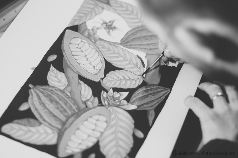 國外手繪植物花卉插畫風格洋酒包裝設計-curio杜松子酒和伏特加酒包裝設計5