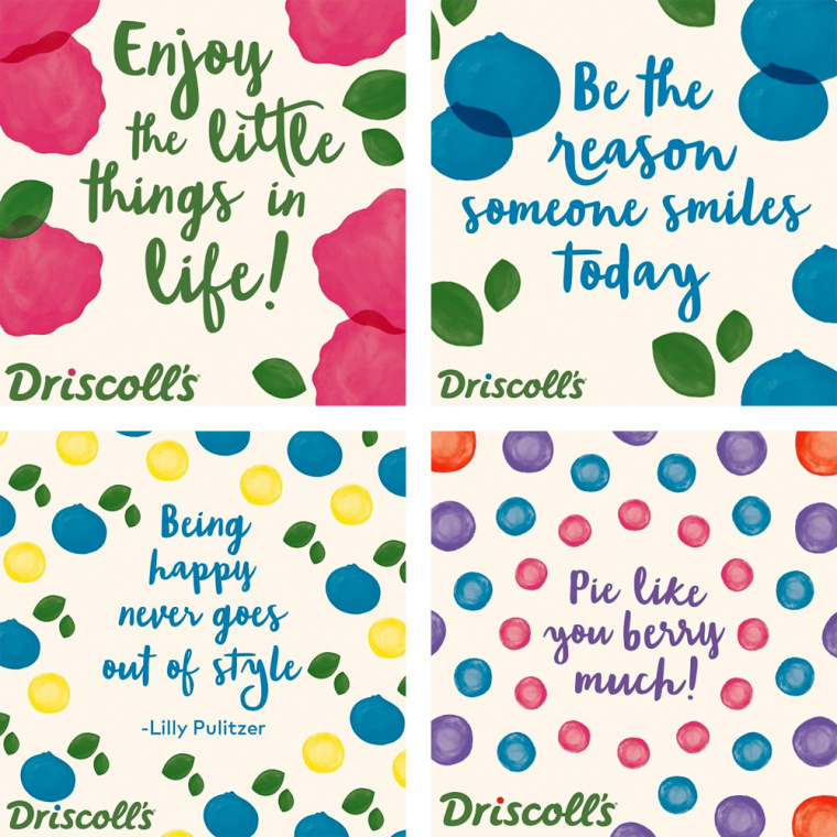 Driscoll''''s 漿果新品牌形象設計VI設計--輔助圖形設計-上海VI設計公司