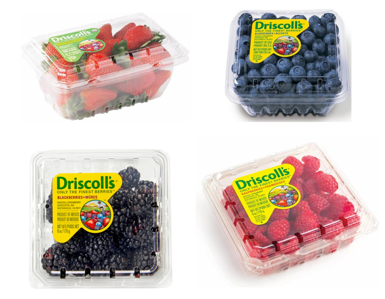 Driscoll''s 漿果新品牌形象設計草莓藍莓樹莓黑莓水果農產品新包裝設計-上海包裝設計公司