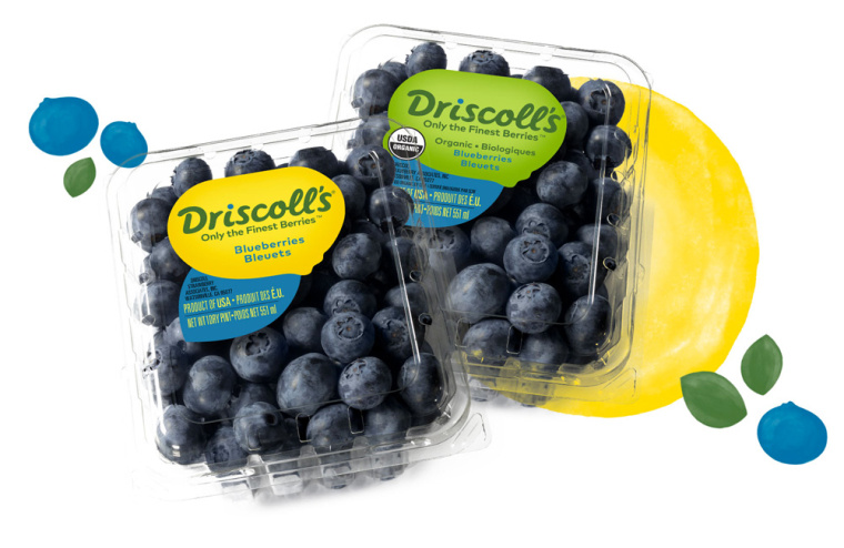 Driscoll''''s 漿果草莓藍莓樹莓黑莓水果農產品新包裝設計-上海包裝設計公司