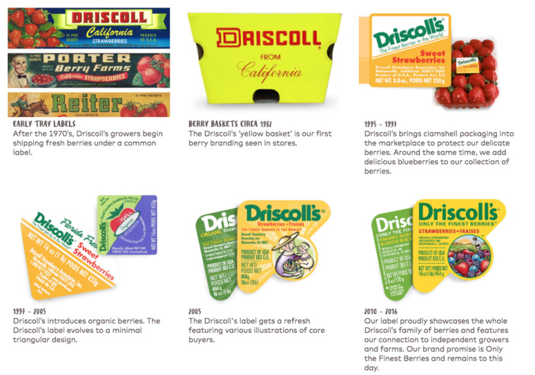 Driscoll''''s 漿果新品牌形象設計草莓藍莓樹莓黑莓水果農產品新包裝設計-上海包裝設計公司