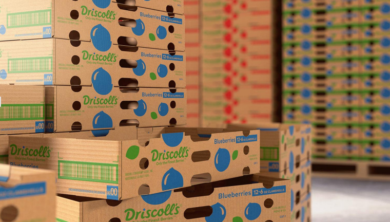 Driscoll''''s 漿果草莓藍莓樹莓黑莓農產品瓦能紙外箱包裝設計-上海包裝設計公司