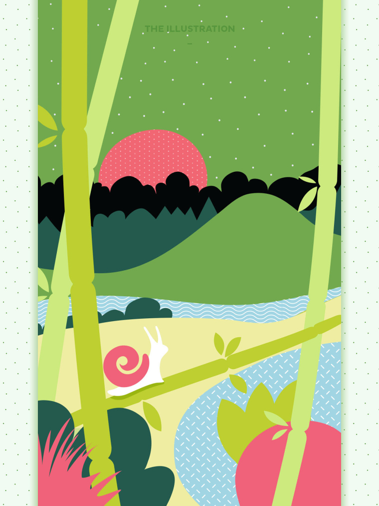 上海包裝設計公司-美麗加芬 Just Snail 蝸牛竹萃系列化妝品護膚品牌包裝設計2