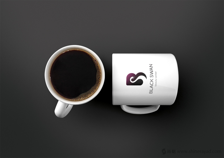 上海LOGO設計公司欣賞——黑天鵝美容中心美容店LOGO設計9