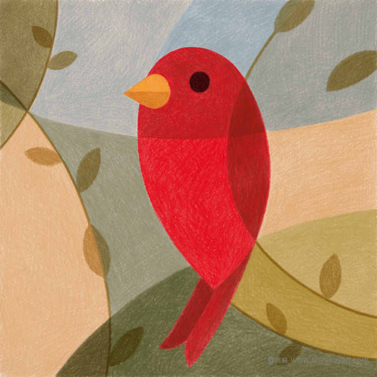 幾何矢量鳥類插畫設計-上海品牌形象設計公司3