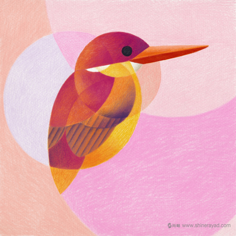 幾何矢量鳥類插畫設計-上海品牌形象設計公司4